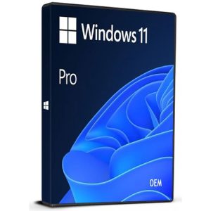 Windows 11 Home Cd Key OEM Microsoft Global